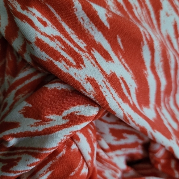 Leota Eliza Dress in Warped Zebra Chili Plus Size 2X - Picture 8 of 11